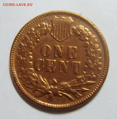 1 цент США 1882г. Оценка - S8306799_exposure.JPG