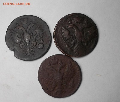 денга 1735,41,48г. - DSCF1869.JPG