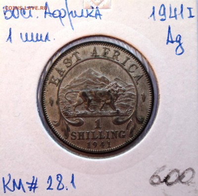 раздел на переоформлении - DSC01960.JPG