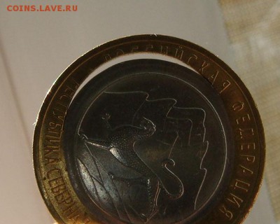 Re: 10 рублей 2013 год алания хороший брак - DSC06164яя