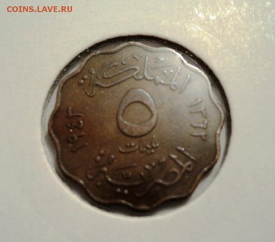 раздел на переоформлении - DSC06416.JPG