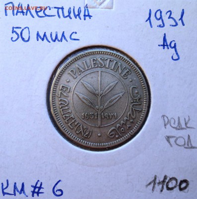 раздел на переоформлении - DSC02006.JPG