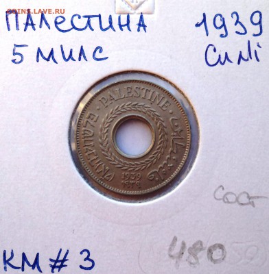 раздел на переоформлении - DSC01994.JPG