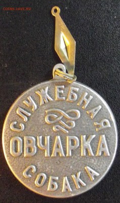 жетон служебной собаки - DSCF3378.JPG
