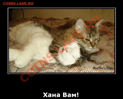 делает - прямо сейчас !!! - image