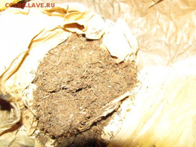 оцените табак - IMG_0264.JPG