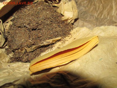 оцените табак - IMG_0265.JPG