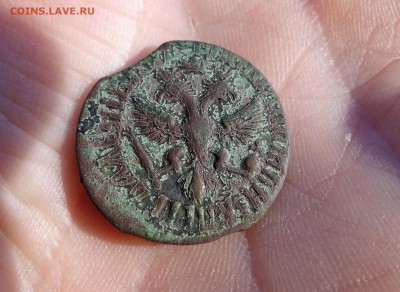 Денга 1709 год. редкая монета. приличный сохран. - DSC03829.JPG