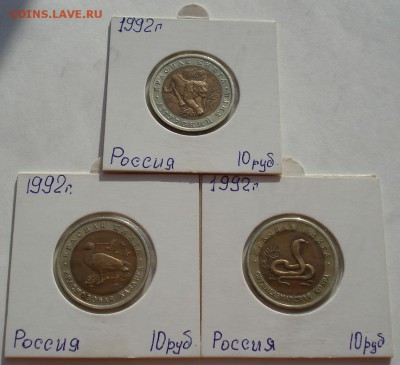 КК 10 рублей 1992 Кобра, Тигр, Казарка до 22:00 04.10.14 - DSC00254.JPG