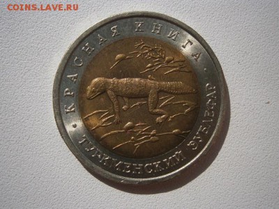 КК Туркменский зублефар 1993г. до 05.04.2014 22.00 мск - P9290007.JPG
