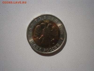 КК Гималайский медведь 1993г.05.04.2014 22.00 мск - P9290010.JPG