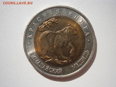 КК Гималайский медведь 1993г.05.04.2014 22.00 мск - P9290009.JPG