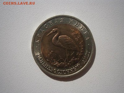 КК Дальневосточный аист 1993г.05.04.2014 22.00 мск - P9290011.JPG