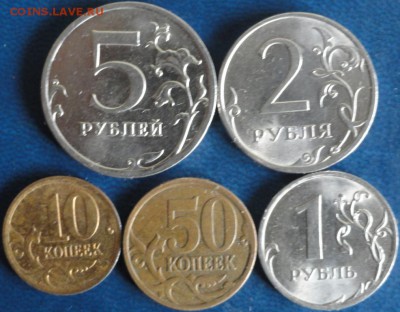 Погодовка СПМД 2010г. До07.10 - DSC02861.JPG