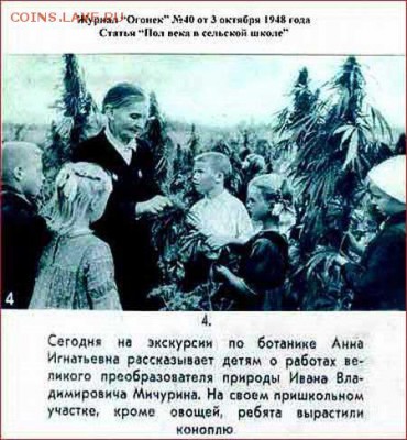делает - прямо сейчас !!! - 1