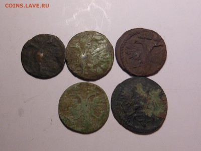 5 полушек Петра I 1719,19,21,22,22 до 05.10.2014 в 23.00 мск - DSCN7061