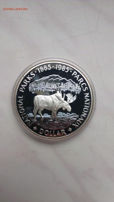 Канада 1 доллар 1985 года Лось до 5.10 - IMAG1109