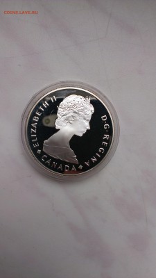 Канада 1 доллар 1985 года Лось до 5.10 - IMAG1110