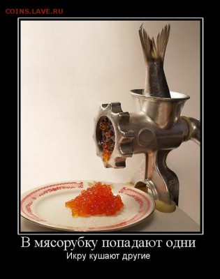 Ну а теперь про Украину - 9r0t3t