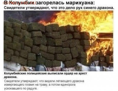 юмор - BwTBotzIQAA293O