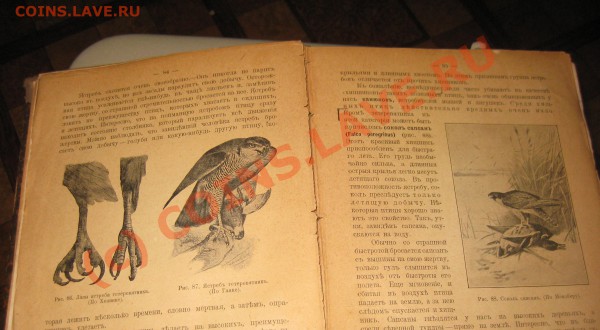 Старые книги. - IMG_6533.JPG