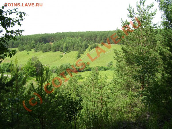 французкий роман :D  1840 года - Изображение 024 лес