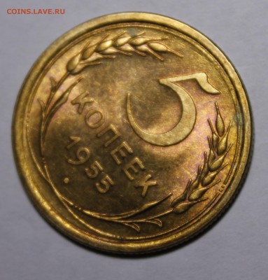 5 копеек 1955 яркий штемпельный aUNC.c 200.__10.10.14__22:00 - _MG_0472.JPG