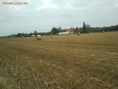 15 копеек 1868 - fgjfg 007