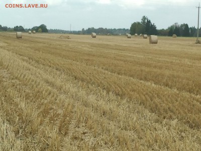15 копеек 1868 - fgjfg 014