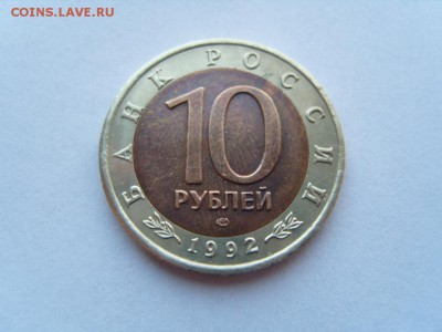 КК 92 среднеазиатская кобра - S1032164.JPG