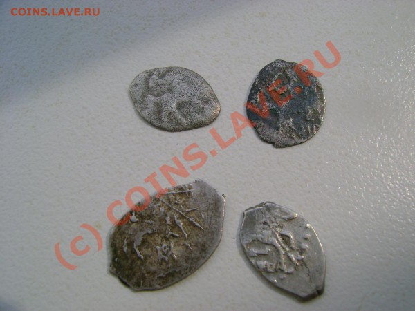 ЛОТ чешуек до 10.04.2010 в 21-00 - DSC06756.JPG