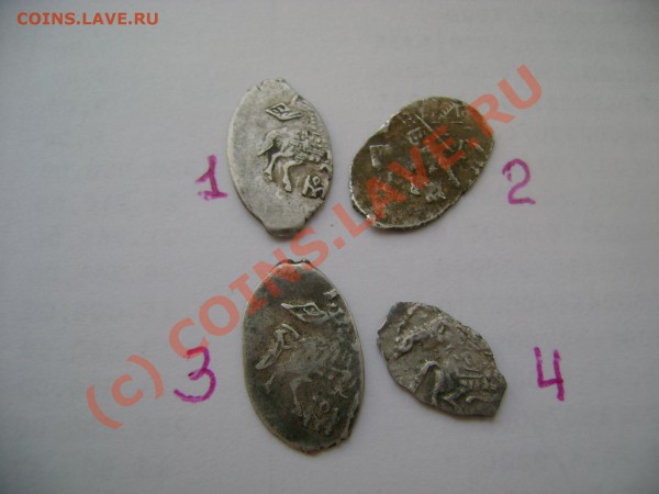 ЛОТ чешуек до 22.04.2010 в 21-00 - DSC06765.JPG