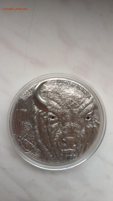 Того 1500 франков 2012 год Европейский бизон (тираж 999 ) - IMAG1159