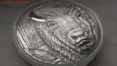 Того 1500 франков 2012 год Европейский бизон (тираж 999 ) - IMAG1161
