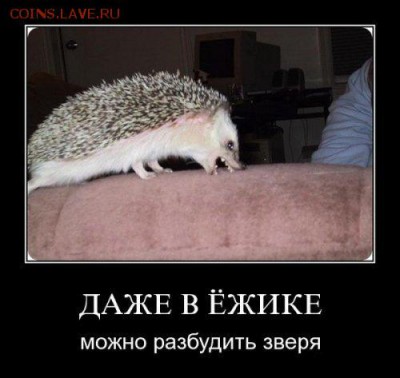 Ну а теперь про Украину - 800x600_LFeGiKWQMsb25yYVnfpF