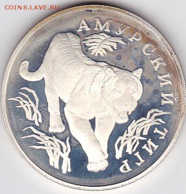 1 РУБЛЬ,1993 ГОД,АМУРСКИЙ ТИГР,ПРУФ,СЕРЕБРО - IMG_0006