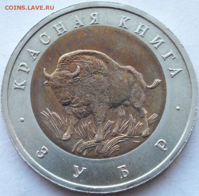 50 рублей 1994 года КК Зубр брак смещение - DSCF7394