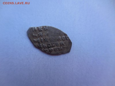 Чешуйка помогите определить - DSCN0411.JPG