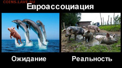 Ну а теперь про Украину - KnxxTo-1c9w