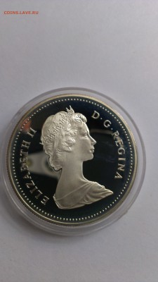 Канада 1 доллар 1982 Бизон до 12.10 - IMAG1253