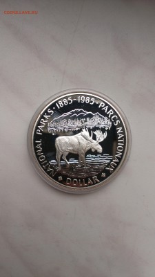 Канада 1 доллар 1985 Лось до 12.10 - IMAG1040