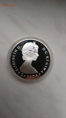 Канада 1 доллар 1985 Лось до 12.10 - IMAG1041