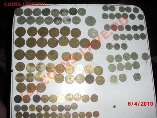погодовку продам - CIMG0333.JPG