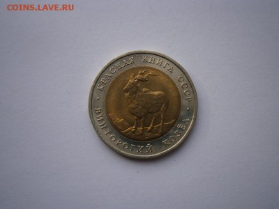 КК 5 рублей 1991 В.Козел до 22:00 13.10.14 - PA080001.JPG