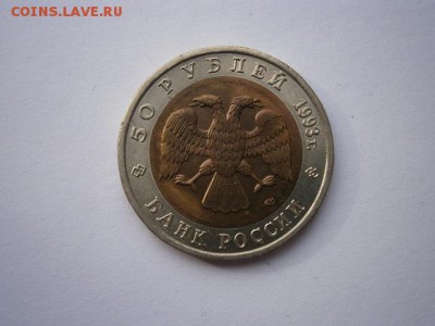 КК Кавказский тетерев 1993г. до 13.10.14 22.00 мск - PA080004.JPG