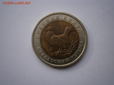 КК Кавказский тетерев 1993г. до 13.10.14 22.00 мск - PA080003.JPG