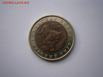 КК  10руб. Амурский тигр 1992г. 13.10.14 22.00 мск - PA080007.JPG