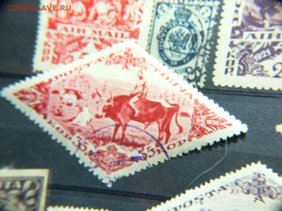 МАРКИ ТУВЫ И РОССИИ- продолжение - P1970177.JPG