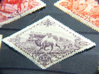 МАРКИ ТУВЫ И РОССИИ- продолжение - P1970175.JPG