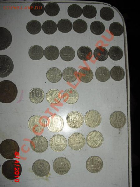 погодовку продам - CIMG0342.JPG